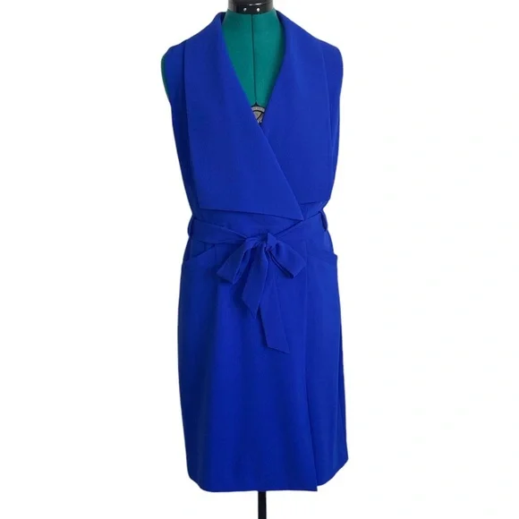 The Limited Blue Belted Dress - Picture 1 of 15